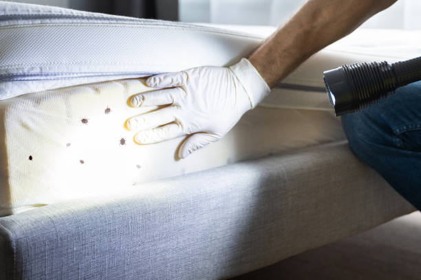 Professional Pest Control in Lewisburg, PA