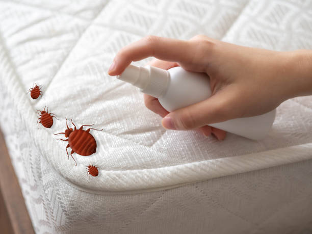 Best Pest Prevention Services  in Lewisburg, PA
