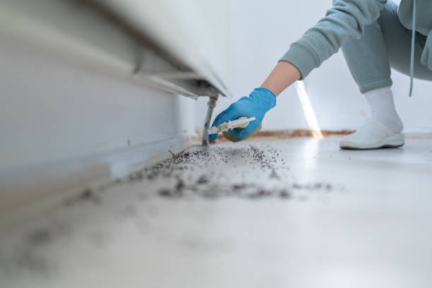 Best Wildlife Control Services  in Lewisburg, PA